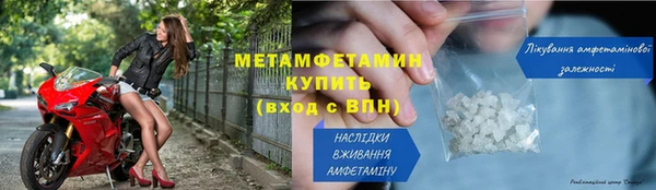 мяу мяу мука Иннополис