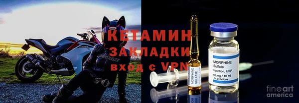 мяу мяу мука Иннополис