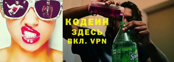 мяу мяу мука Иннополис