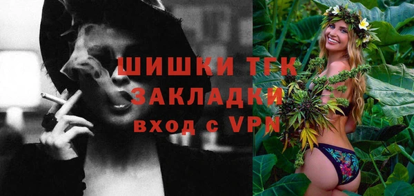 мяу мяу мука Иннополис