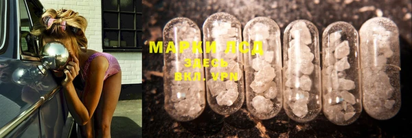 мяу мяу мука Иннополис