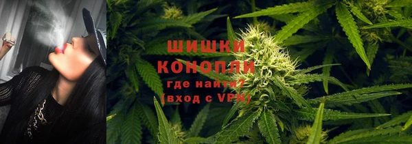 mdpv Инта
